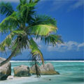 Vakantie