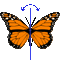 Symmetrie