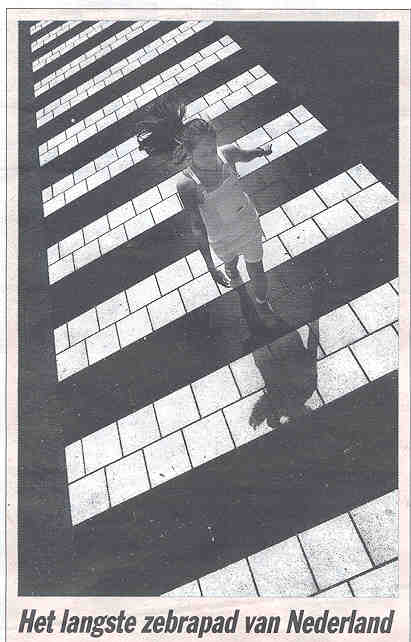Zebrapad